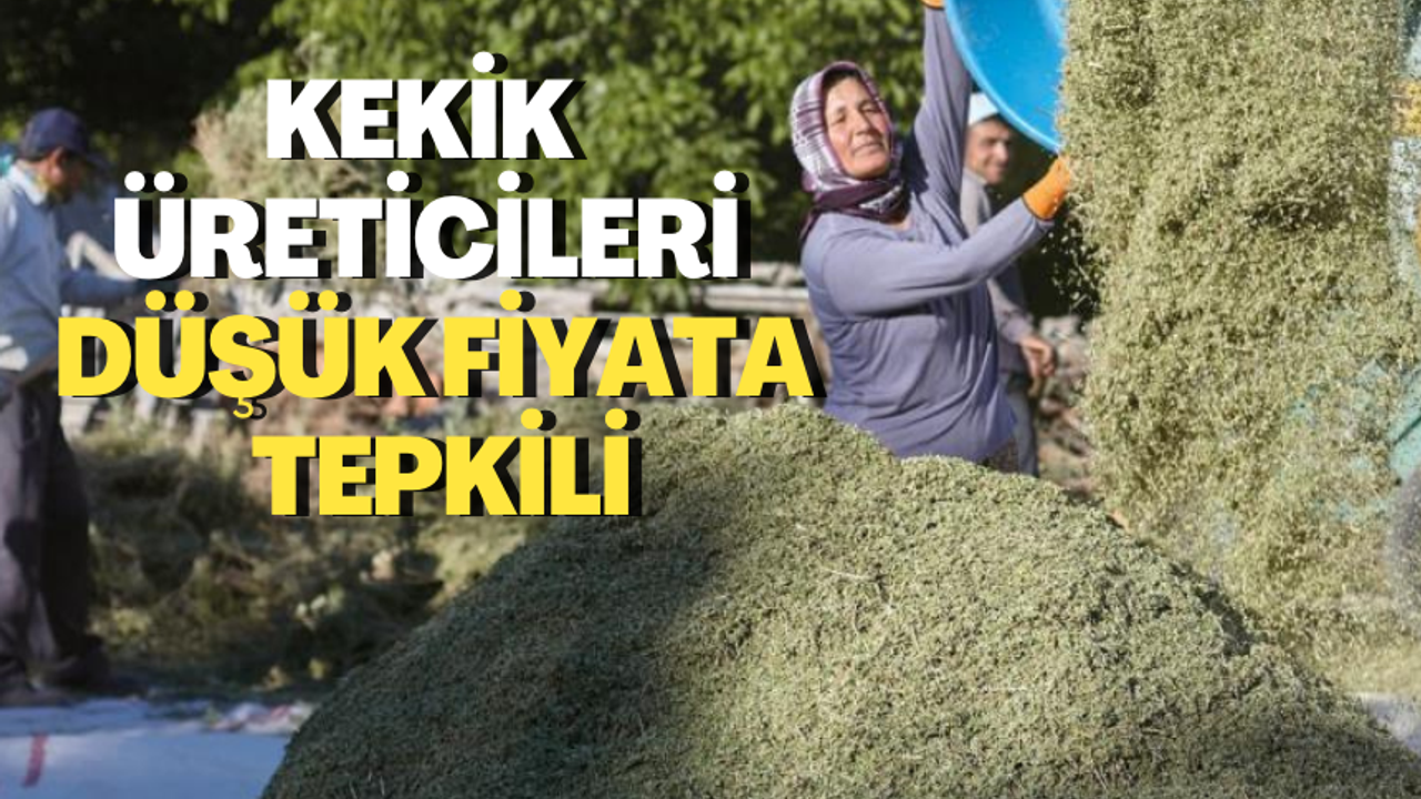 Türkiye’de üretimin yüzde 85’i Ege’de yapılıyor