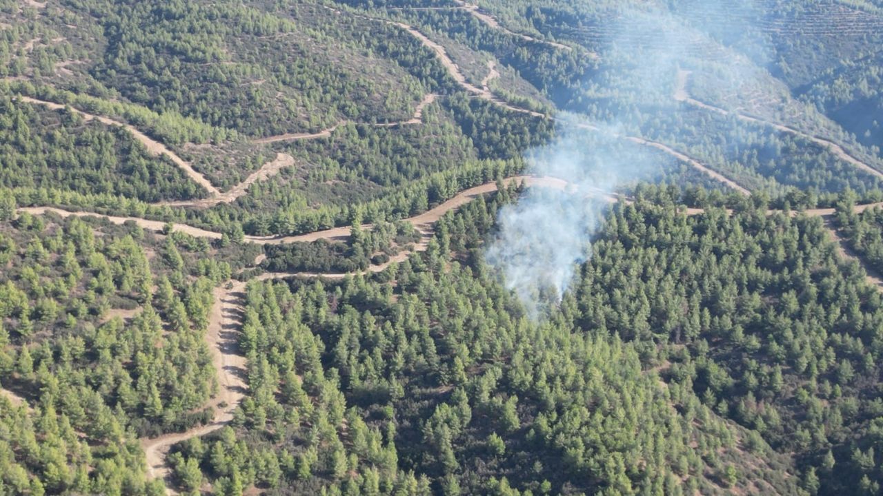 Nazilli’de orman yangını