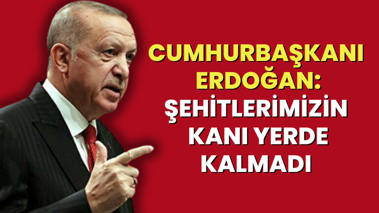 Cumhurbaşkanı Erdoğan: Şehitlerimizin kanı yerde kalmadı