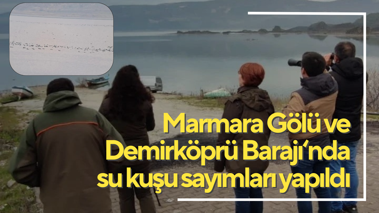 M﻿armara Gölü ve Demirköprü Barajı‘nda  su kuşu sayımları yapıldı