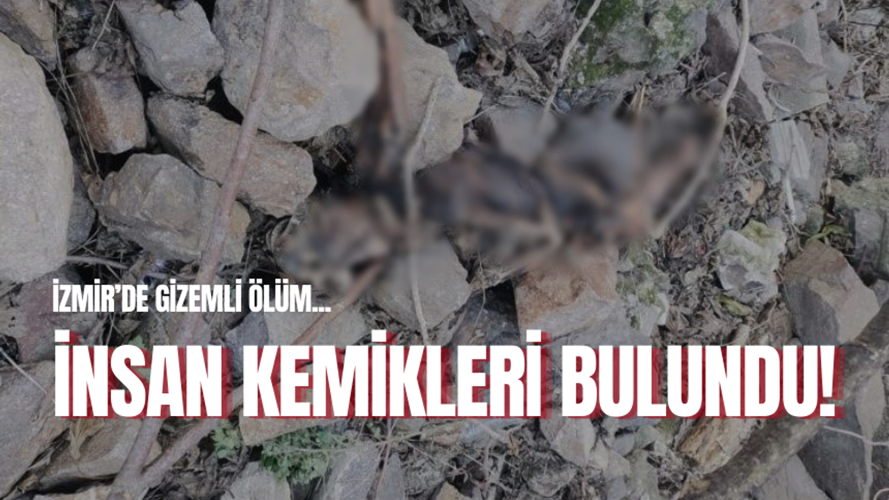 İzmir'de gizemli ölüm... Tarihi Asansör yakınında insan kemikleri bulundu!
