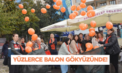 Yüzlerce balon gökyüzünde: Manisa'da balonlar kadına şiddete farkındalık için gökyüzüne bırakıldı