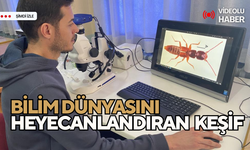 Alaşehirli proje ekibi, Türkiye’de yeni bir böcek türü keşfetti