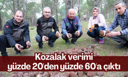 Türkiye’nin çam fıstığı deposu Kozak Yaylası’nda çalışmalar meyvelerini veriyor