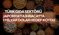 Türk gıda sektörü Japonya’ya ihracatta 1 milyar dolar hedef koydu