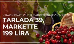 Kirazın fiyatı zincir marketleri sevindiriyor: Tarlada 39, markette 199 lira