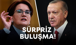 Sürpriz Buluşma! Cumhurbaşkanı Erdoğan, Meral Akşener'i Beştepe'de ağırlayacak
