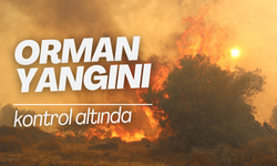 İzmir'deki orman yangını 8 saat sonra kontrol altında