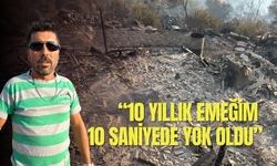 İzmir'deki yangında bir bağ evi ve zeytinlik kül oldu