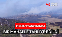 Soma'daki orman yangınında bir mahalle tahliye edildi