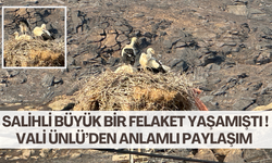Salihli’de çıkan yangın 300 hektar alanı küle çevirmişti | Manisa Valisi Ünlü’den duygusal paylaşım