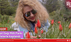 Spil Dağı Milli Parkı lalelerle kaplandı