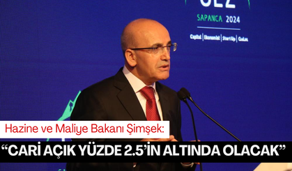 Hazine ve Maliye Bakanı Şimşek: 'Türkiye'nin büyüme potansiyeli güçlenecek'
