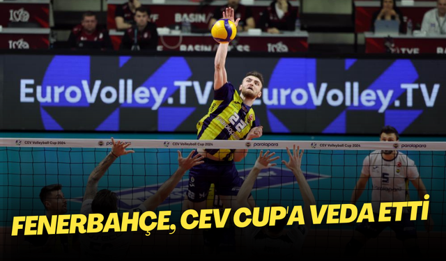 Fenerbahçe, CEV Cup'a veda etti