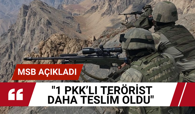 MSB açıkladı: '1 PKK’lı terörist daha teslim oldu'