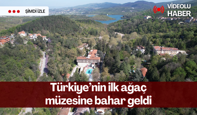 Atatürk Arboretumu baharla birlikte ziyaretçilerine eşsiz güzellikler sunuyor