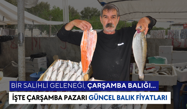 Pazarda Balık Fiyatları | Somon, Çupra, Levrek, Sazan...