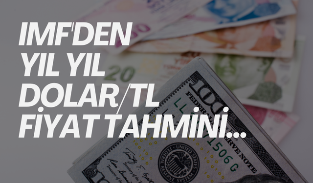 IMF'den Türkiye için şoke eden enflasyon tahmini: Yıl yıl Dolar/TL fiyatı...
