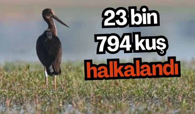 2023’te 190 türde 23 bin 794 kuş halkalandı