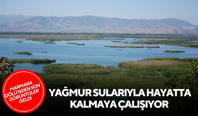 Yağmur suları Marmara Gölü’ne hayat veriyor | İşte son fotoğraflar