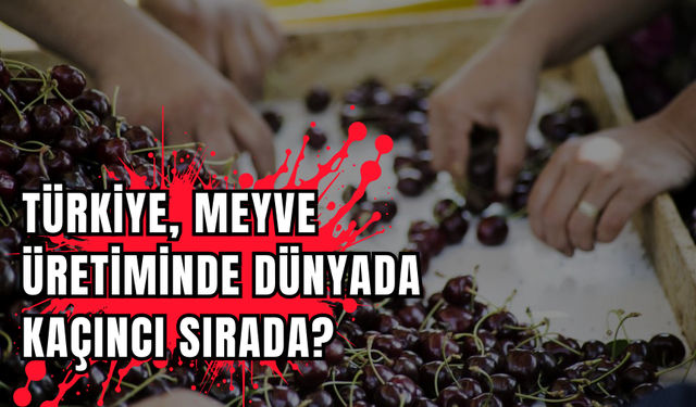 Türkiye, meyve üretiminde dünyada kaçıncı sırada?
