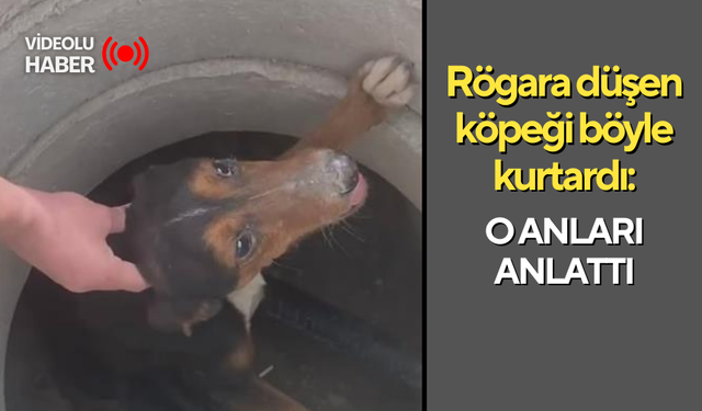 Rögara düşen köpeği böyle kurtardı: O anları anlattı