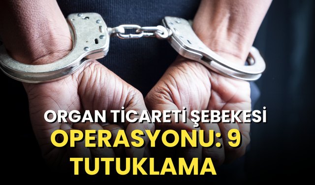 Organ ticareti şebekesi operasyonu: 9 tutuklama
