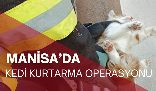 Manisa'da kedi kurtarma operasyonu: Duvar arasına sıkışan kediyi itfaiye kurtardı