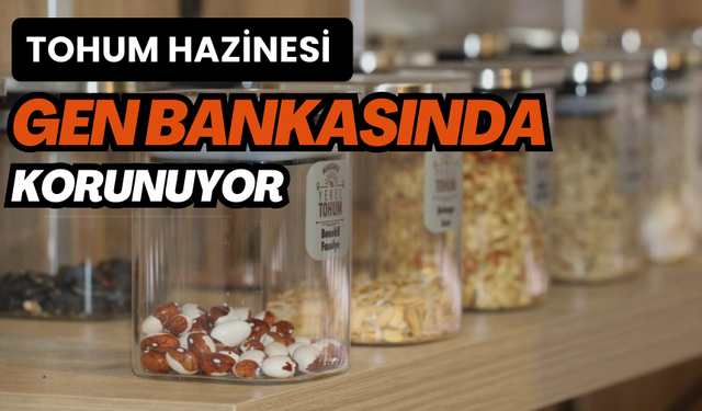 Türkiye'nin bitkisel gen çeşitliliği Tohum Gen Bankası'nda korunuyor