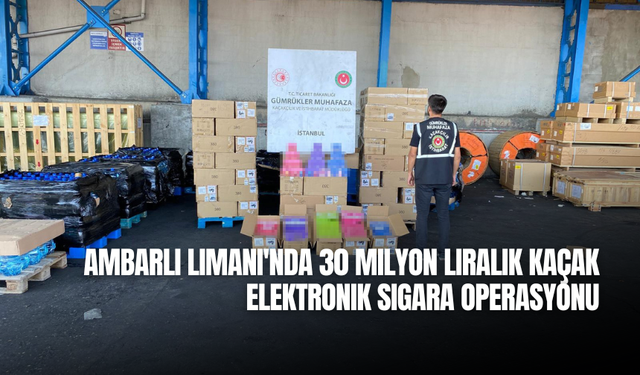 Ambarlı Limanı'nda 30 milyon liralık kaçak elektronik sigara operasyonu