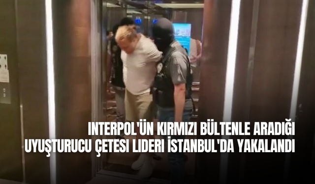 Interpol'ün kırmızı bültenle aradığı uyuşturucu çetesi lideri İstanbul'da yakalandı