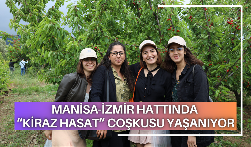 Manisa-İzmir hattında 'kiraz hasat' coşkusu yaşanıyor
