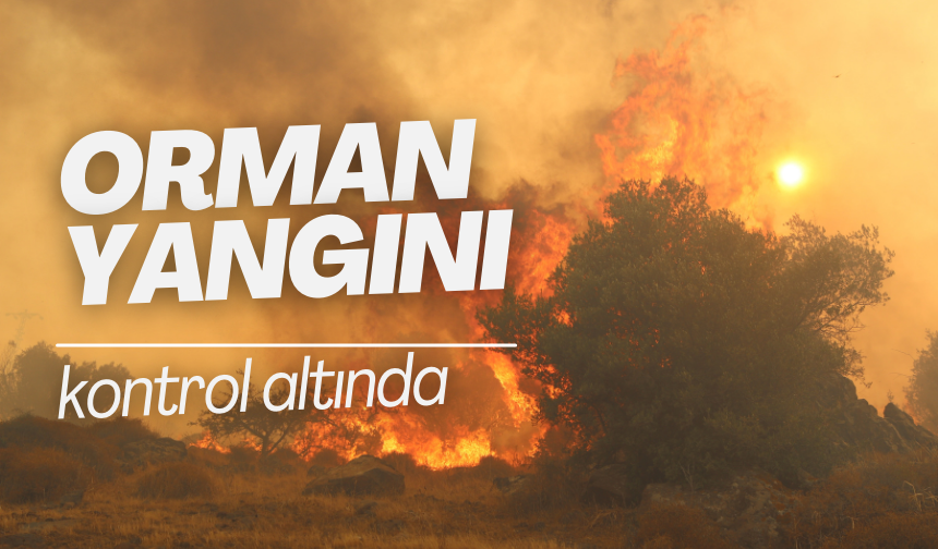 İzmir'deki orman yangını 8 saat sonra kontrol altında